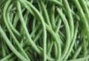 Green Long Beans