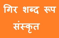 Gir Shabd Roop in Sanskrit