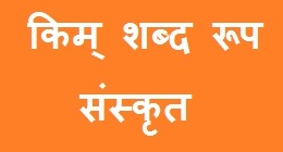 Kim Shabd Roop in Sanskrit