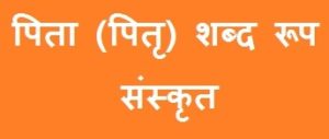 Pitra Shabd Roop in Sanskrit
