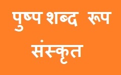 Pushp Shabd Roop in Sanskrit