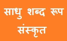 Sadhu Shabd Roop in Sanskrit