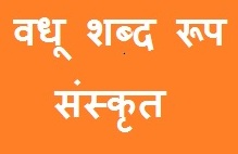 Vadhu Shabd Roop in Sanskrit