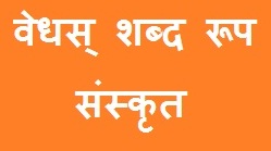Vedhas Shabd Roop in Sanskrit