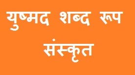 Yushmad Shabd Roop in Sanskrit