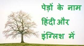 Tree Names in Hindi and English