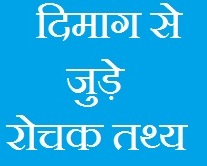 Facts about Human Brain in Hindi