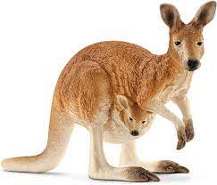 Information About Kangaroo In Hindi