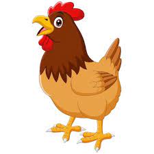 Interesting Facts About Hen in Hindi